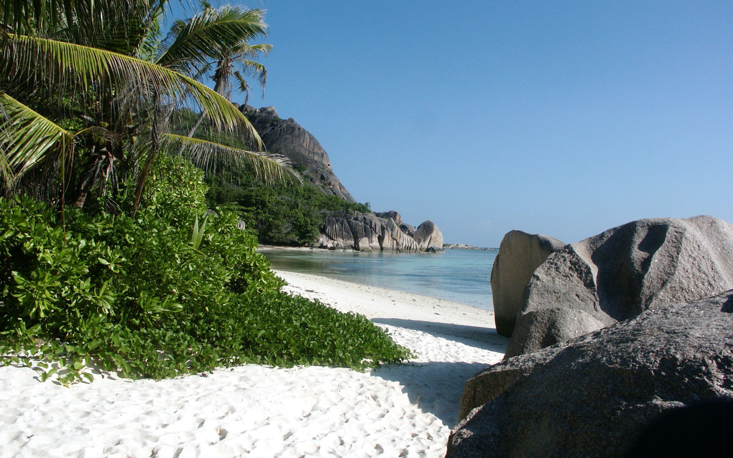 2027全球体育赛季重大赛事竞彩前瞻总结，2021年竞彩赛事